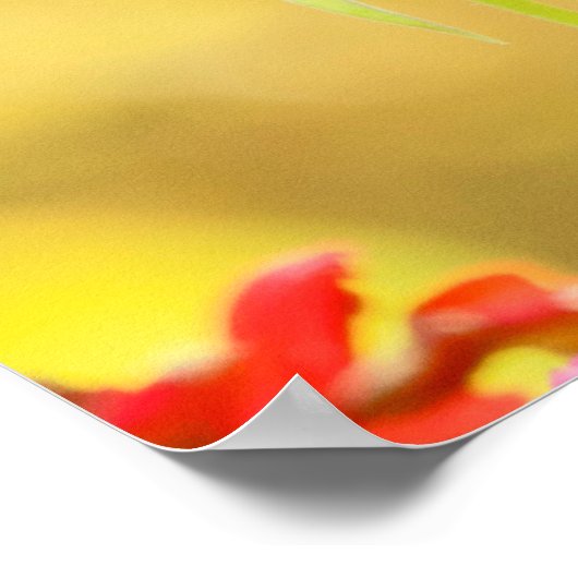 Monarch Butterfly op Zinnia Poster (Hoek)