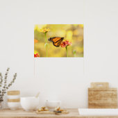 Monarch Butterfly op Zinnia Poster (Keuken)