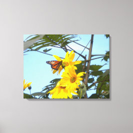 Monarch Butterfly op zonnebloemdoek Canvas Afdruk