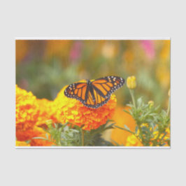Monarch Butterfly Oranje Marigold Foto Tissuepapier
