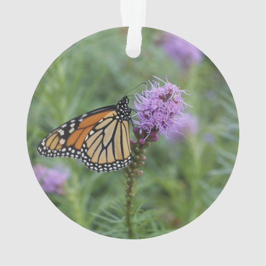 Monarch Butterfly Ornament (achterkant)