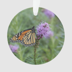 Monarch Butterfly Ornament