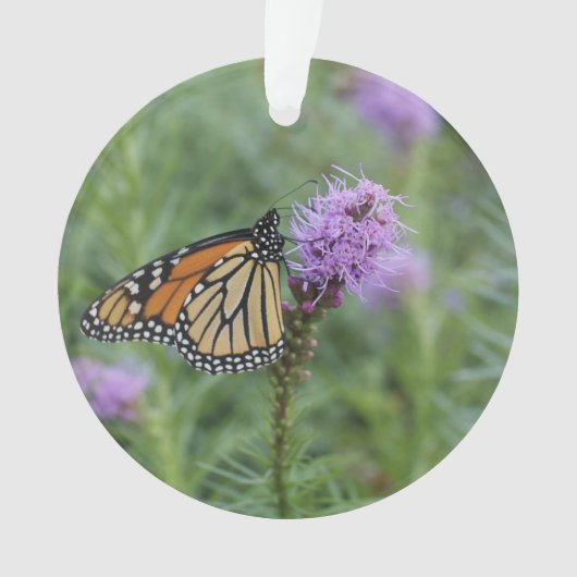 Monarch Butterfly Ornament (voorkant)