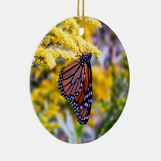Monarch Butterfly Ornament (Rechts)