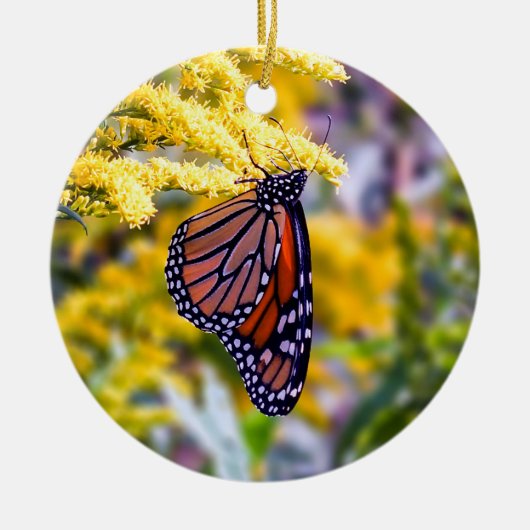 Monarch Butterfly Ornament (Voorkant)