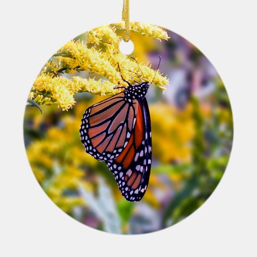 Monarch Butterfly Ornament (Achterkant)
