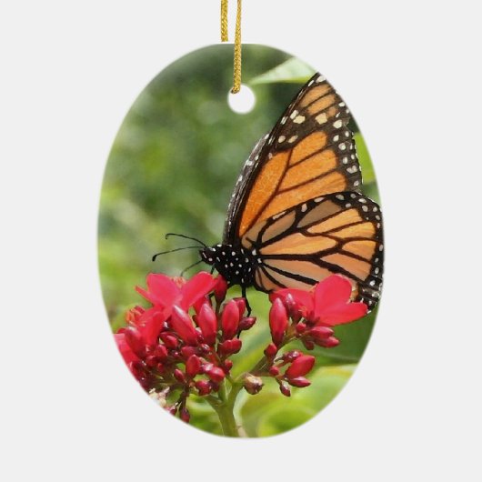Monarch Butterfly Ornament (Achterkant)