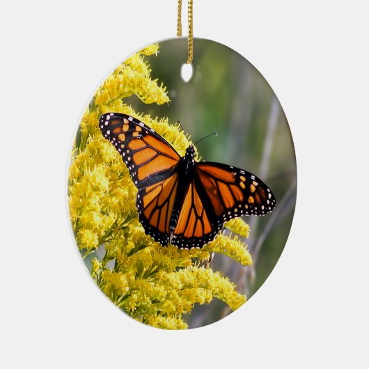 Monarch Butterfly Ornament (Rechts)