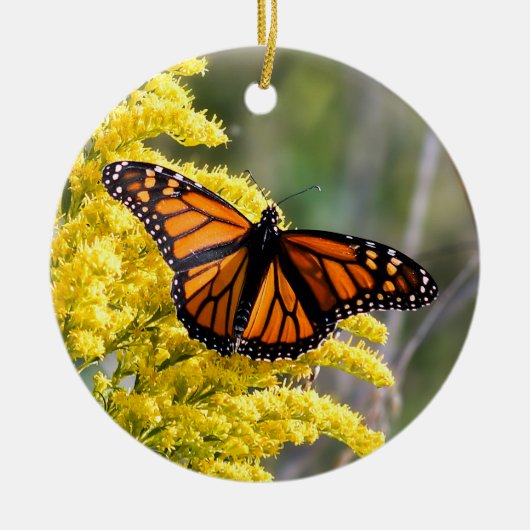 Monarch Butterfly Ornament (Voorkant)
