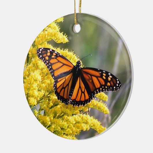Monarch Butterfly Ornament (Links)