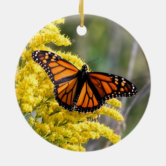 Monarch Butterfly Ornament (Achterkant)