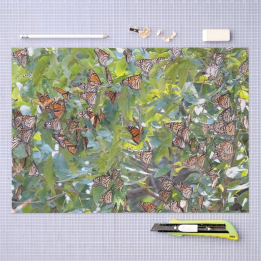 Monarch Butterfly-papier Tissuepapier (Craft)