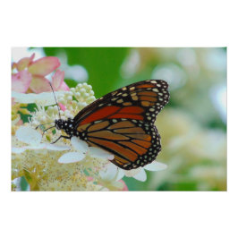 Monarch Butterfly Perfect Poster