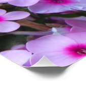 Monarch Butterfly Perfect Poster (Hoek)