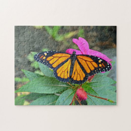 Monarch Butterfly Pink Floral Foto Legpuzzel (Horizontaal)