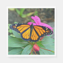 Monarch Butterfly Pink Floral Foto