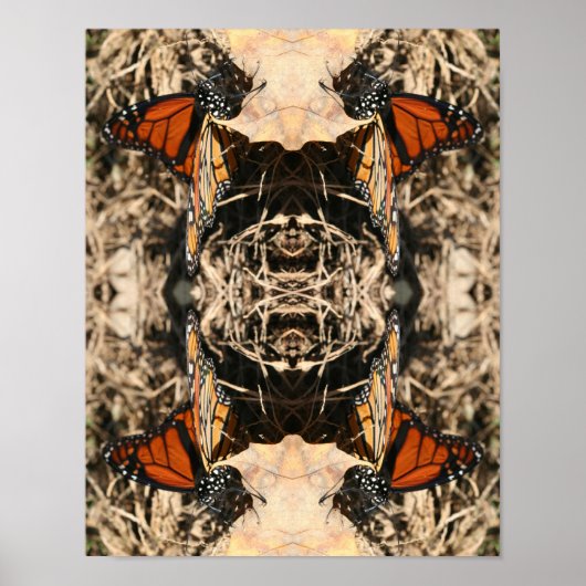 Monarch Butterfly Posing Natuur Abstract Poster (Voorkant)