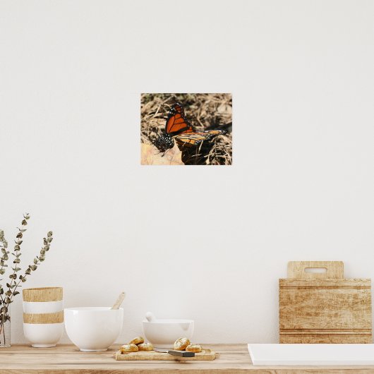Monarch Butterfly Posing Natuur Poster (Keuken)