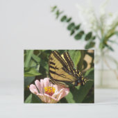 Monarch Butterfly Postcard Briefkaart (Staand voorkant)