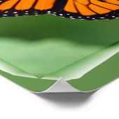 Monarch Butterfly Poster (Hoek)