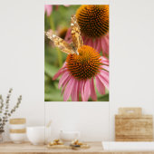 Monarch Butterfly Poster (Keuken)