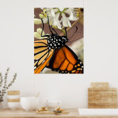 Monarch Butterfly Poster (Keuken)