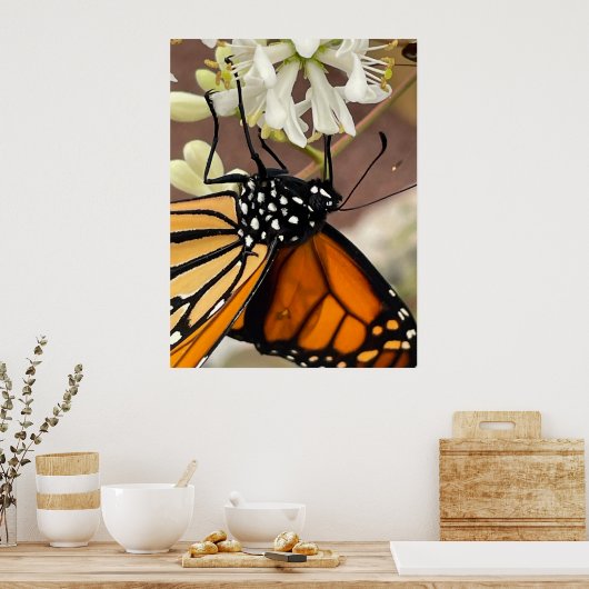 Monarch Butterfly Poster (Keuken)