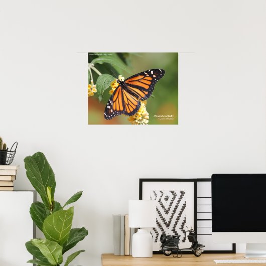 Monarch Butterfly Poster (Thuiskantoor)