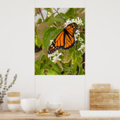 Monarch Butterfly Poster (Keuken)