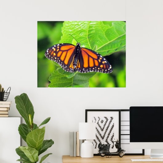 Monarch Butterfly Poster (Thuiskantoor)