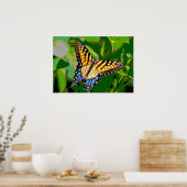 Monarch Butterfly Poster (Keuken)
