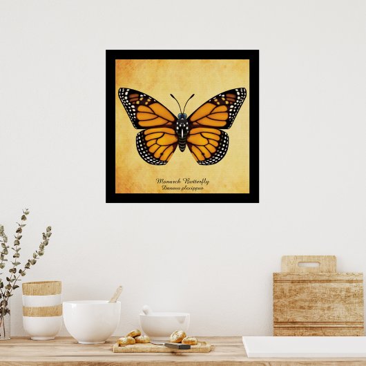 Monarch Butterfly Poster (Keuken)