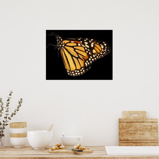 Monarch Butterfly Poster (Keuken)