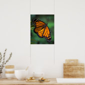Monarch Butterfly Poster (Keuken)