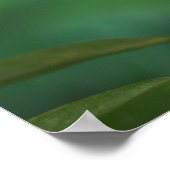 Monarch Butterfly Poster (Hoek)