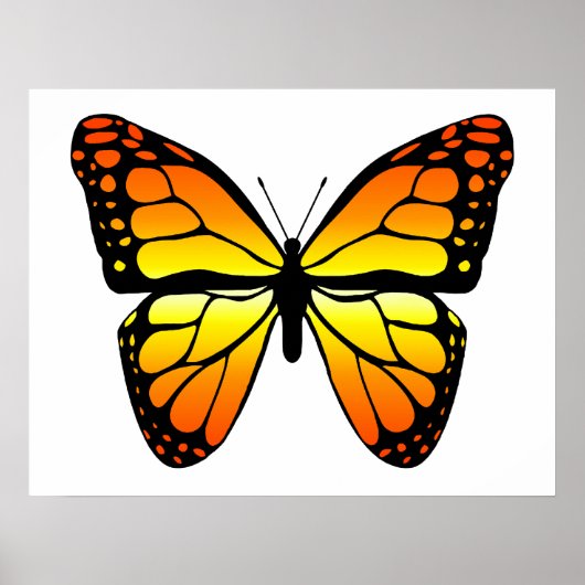 Monarch Butterfly Poster (Voorkant)