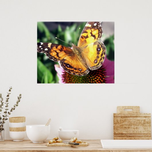 Monarch Butterfly Poster (Keuken)