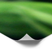 Monarch Butterfly Poster (Hoek)