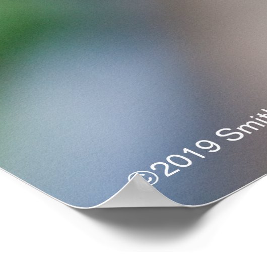 Monarch Butterfly Poster (Hoek)