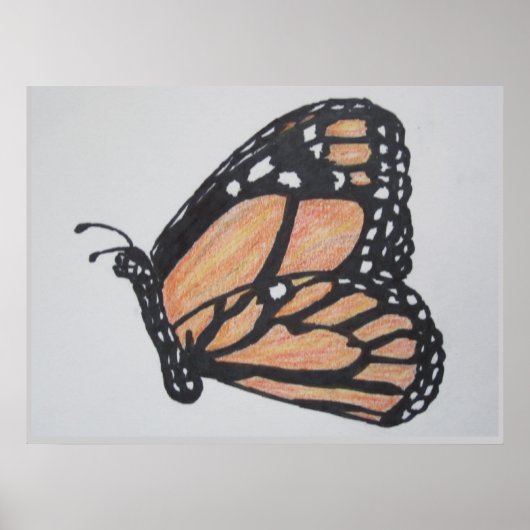 Monarch Butterfly Poster (Voorkant)