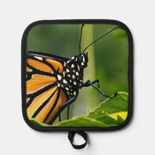 Monarch Butterfly Poster Pannenlap (Voorkant)
