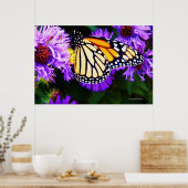 Monarch Butterfly, Poster van esters (Keuken)