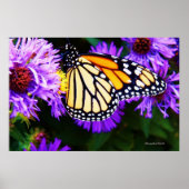 Monarch Butterfly, Poster van esters (Voorkant)