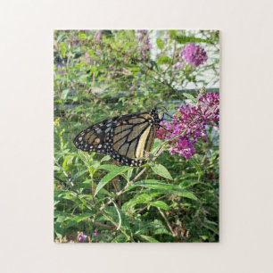 Monarch Butterfly puzzel Legpuzzel