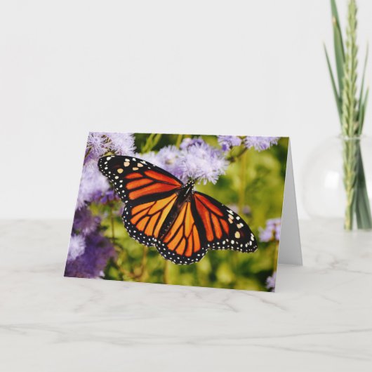 Monarch Butterfly Resting Scripting Note Kaart (Voorkant)
