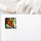 Monarch Butterfly Return Address Labels (Insitu)