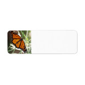Monarch Butterfly Return Address Labels (Voorkant)