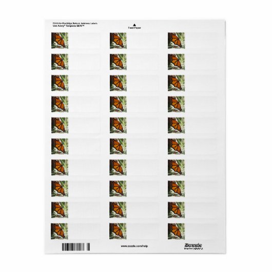 Monarch Butterfly Return Address Labels (Full Sheet)