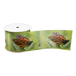 Monarch Butterfly Ribbon Satijnen Lint