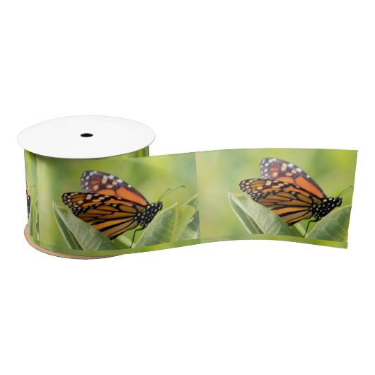 Monarch Butterfly Ribbon Satijnen Lint (Spoel)